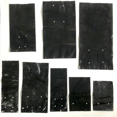 穴緊急医院の器具が付いている袋を植えているプラスチック実生植物
